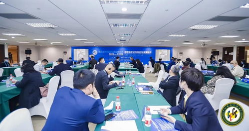 進(jìn)博會觀察｜行云集團(tuán)Billy受邀出席2020跨境電商與貿(mào)易數(shù)字化論壇，共探國際貿(mào)易新未來